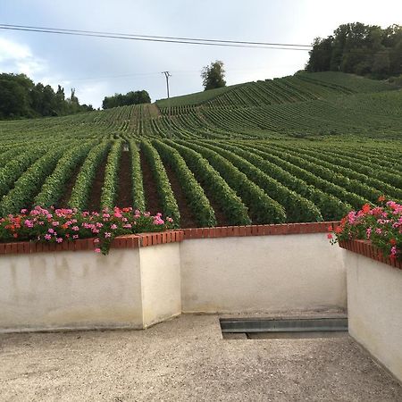 Vauciennes  La Loge Du Vigneron 빌라 외부 사진